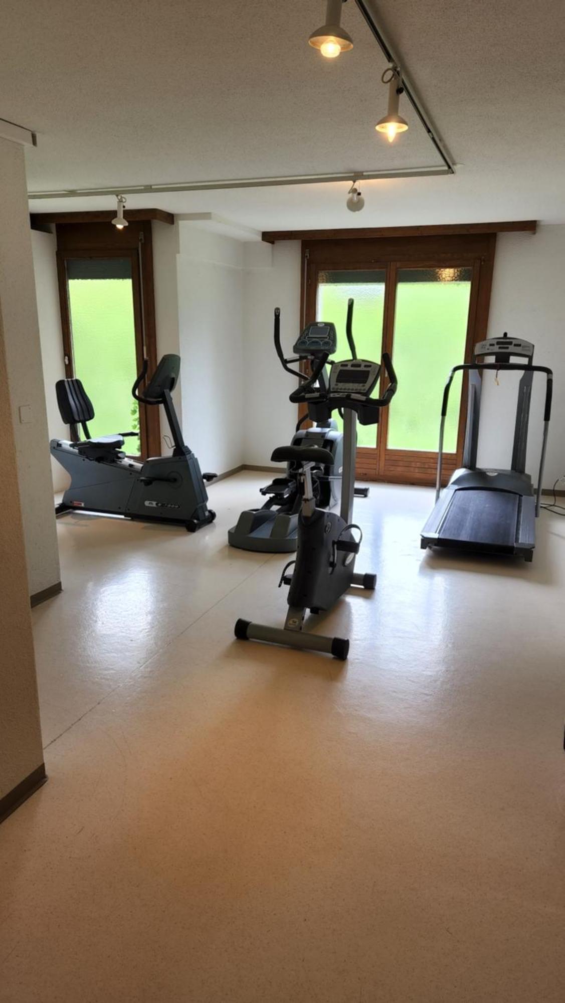 Apartmán Solohike Mountainview Seelisberg Exteriér fotografie